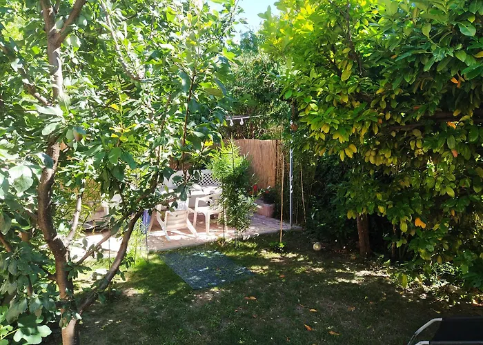Agape Mini Studio